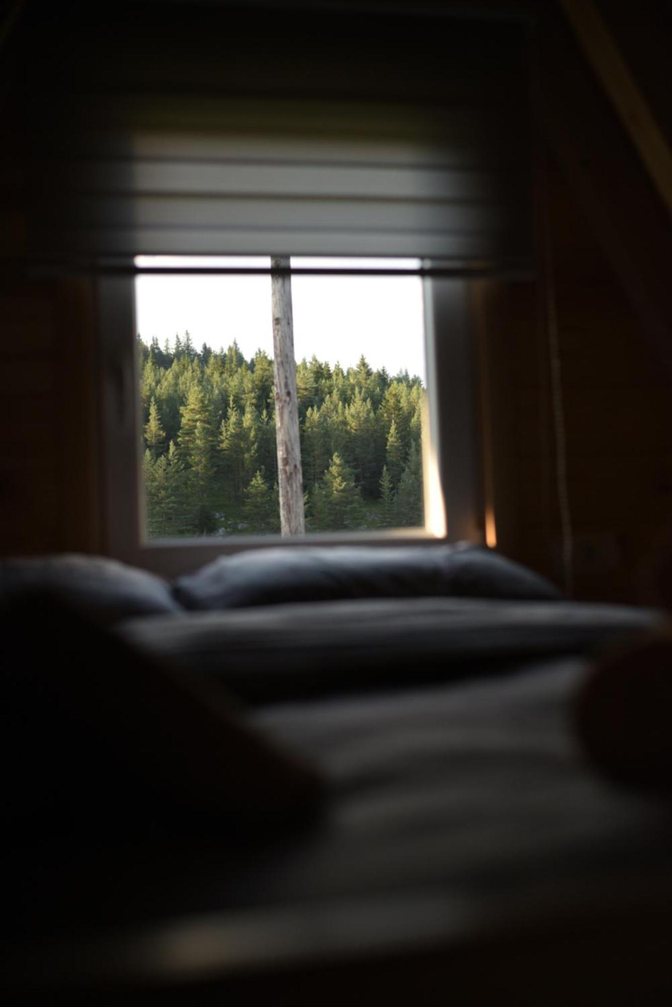 Mountain Paradise Cabin #1 Žabljak 外观 照片