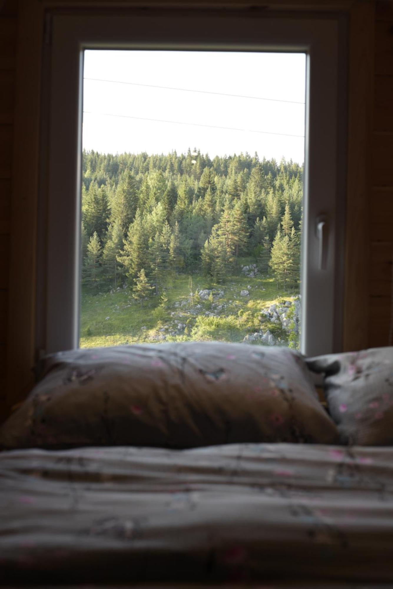 Mountain Paradise Cabin #1 Žabljak 外观 照片